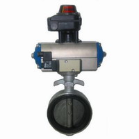 VKF35.100PR421, 100mm 2-위치 공압식 버터플라이밸브